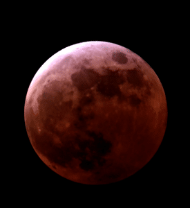 Stargazing Events Image